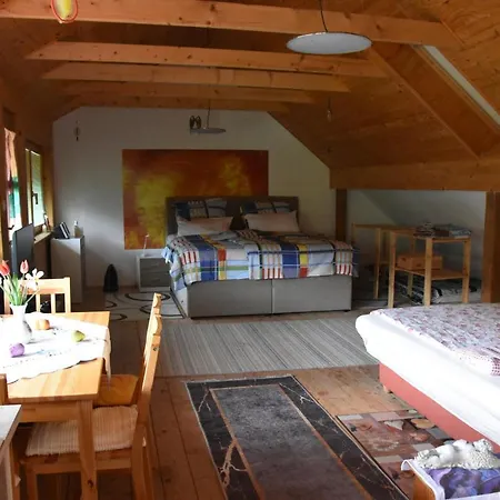 In Grabrovec - Koroska Unterkaernten 44968 Apartamento *