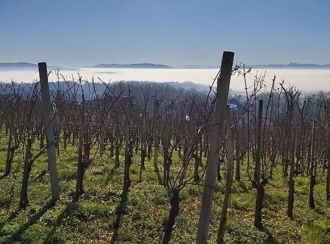 Apartamento In Grabrovec - Koroska Unterkaernten 44968 *